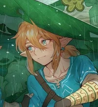 Link