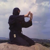 Ninjutsu Sensei