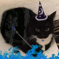 Maxwell the wizard 