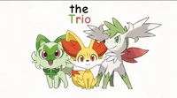 The Trio