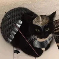 Maxwell the legioner