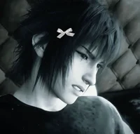 Noctis Lucis Caelum