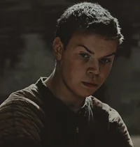GALLY MAZE RUNNER