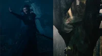 Into the woods 