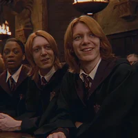 Weasley twins