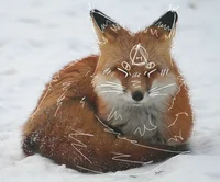Fox Therian