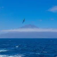 International Waters