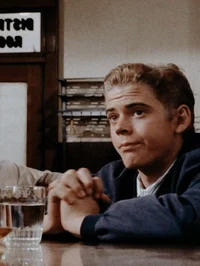 Ponyboy Curtis 