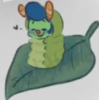 Pet howdy