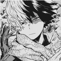MHA - Shoto Todoroki