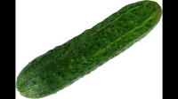 Cucumber