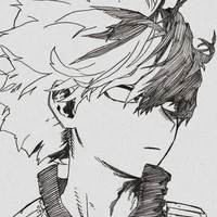 Shoto Todoroki