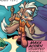 Maxx Acorn