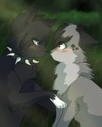 Scourge x ashfur
