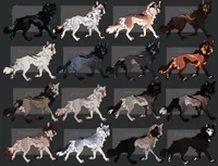 Wolf Pack