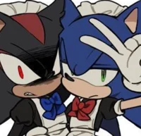 Sonic and Shadow