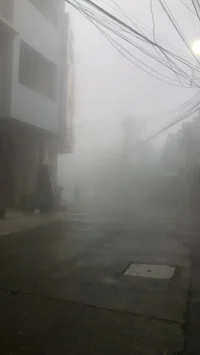 A man in the fog