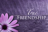 real true friend 
