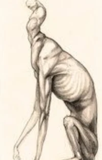 Skin walker