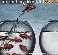 feesh