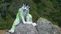 Fiberkitty Fursuit 