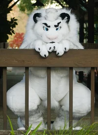 Fairlight White lion