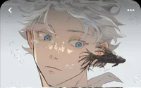 Satoru gojo Fr