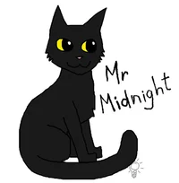 Mister Midnight RPG 