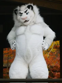 Fairlight white lion