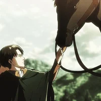 Levi Ackerman 