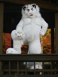 Fairlight white lion