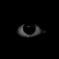 Stare