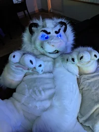 Fairlight white lion