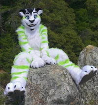Fiberkitty Fursuit 
