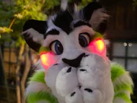 Fiberkitty fursuit