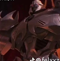 Megatron TFP