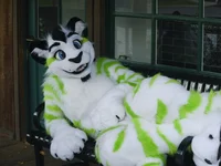 Fiberkitty fursuit