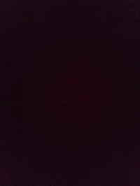 Ты гинеколог