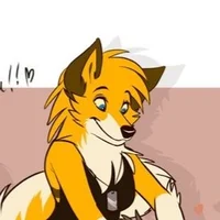 Deni Dingo