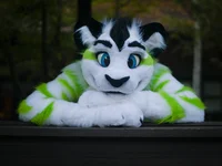 Fiberkitty fursuit