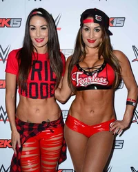 The Bella Twins 