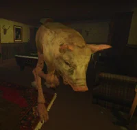 Свинья Butchers