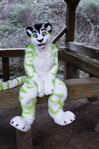 Fiberkitty Fursuit 