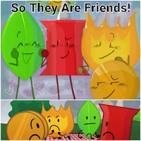 Coiny Firey Pin Leaf