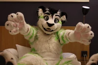 Fiberkitty Fursuit 