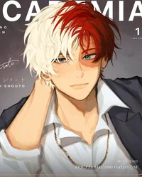 Shoto Todoroki BL