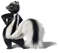 Stella Skunk