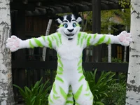 Fiberkitty Fursuit 