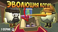 Evolution of cats cg