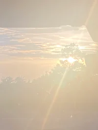 Everyone hates Chris